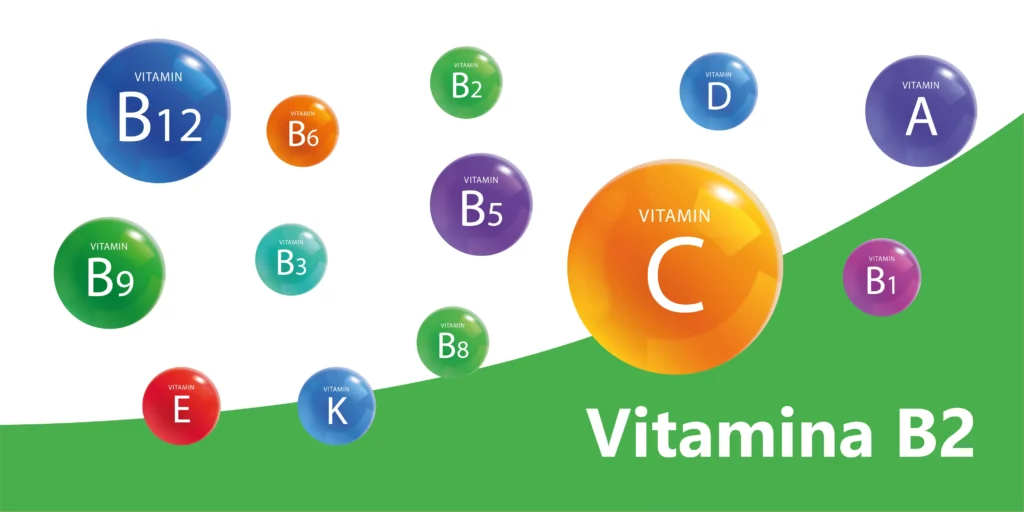 vitamina b2 riboflavina e101