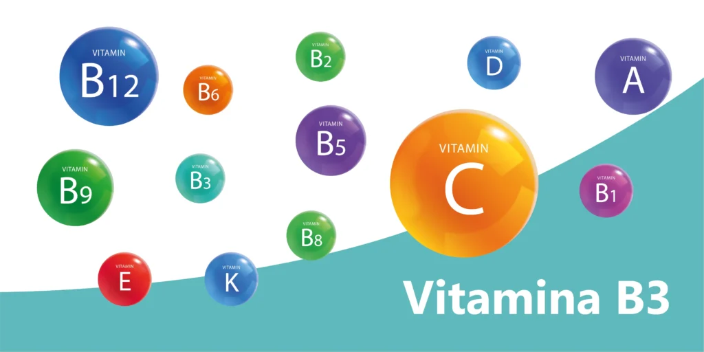 vitamina b3 niacina