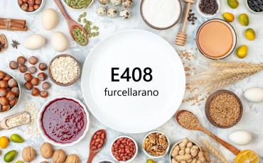 E408 – Furcellarano