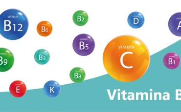 Vitamina B3 (Niacina o Vitamina PP)